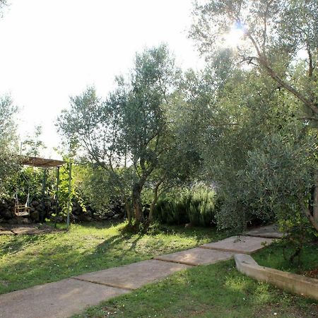 Turkovic Apartments Zgaljic Екстер'єр фото