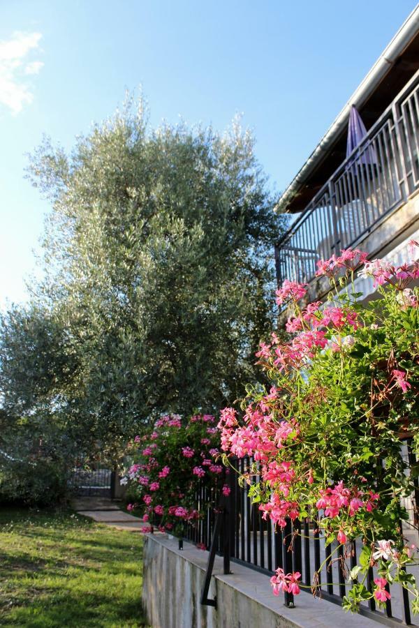 Turkovic Apartments Zgaljic Екстер'єр фото