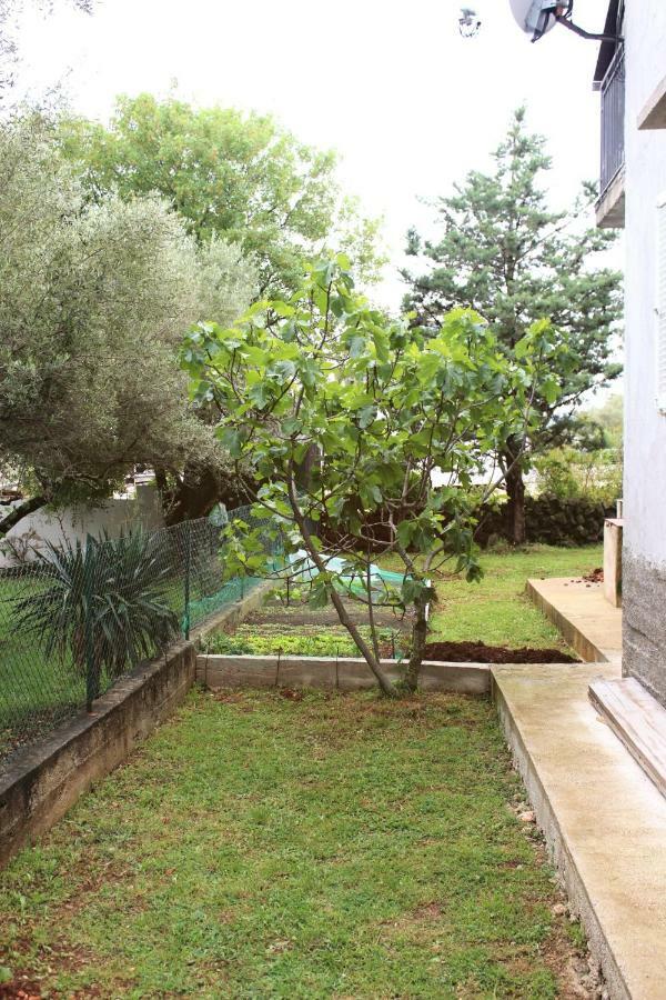 Turkovic Apartments Zgaljic Екстер'єр фото