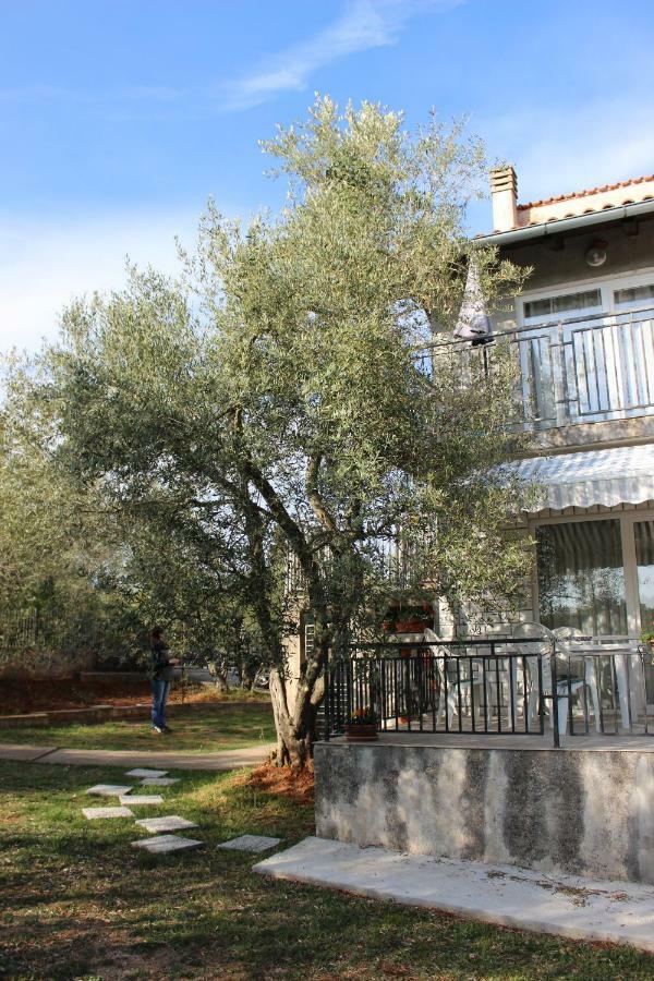 Turkovic Apartments Zgaljic Екстер'єр фото